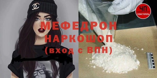 хмурый Пересвет