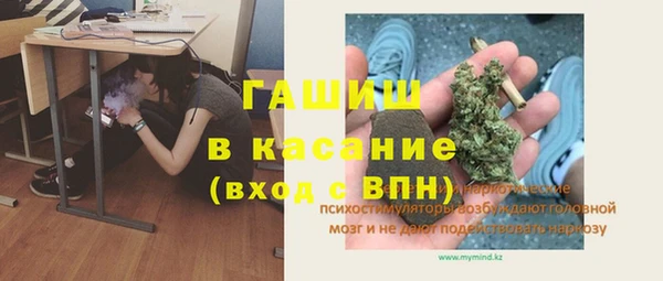 сатива Осинники