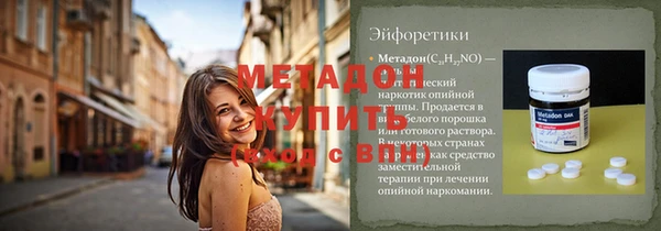 хмурый Пересвет