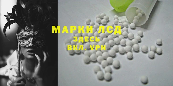 сатива Осинники