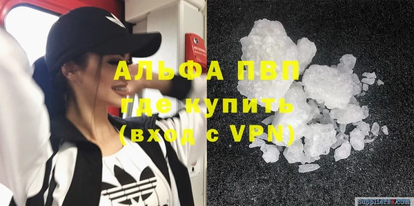 сатива Осинники