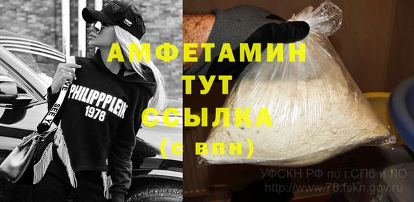 сатива Осинники