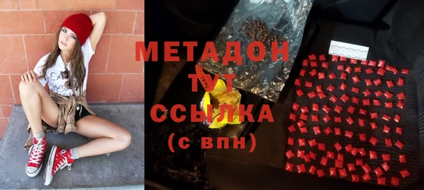 сатива Осинники