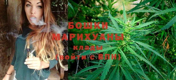 хмурый Пересвет