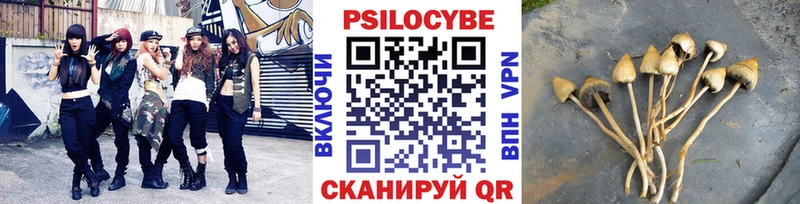 Псилоцибиновые грибы Psilocybine cubensis  Кировград 